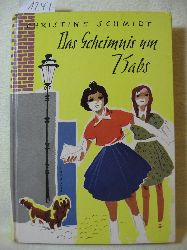 Schmidt, Christine:  Das Geheimnis um Babs. 
