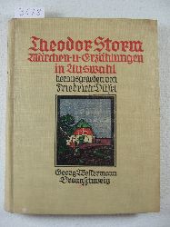 Storm, Theodor:  Mrchen und Erzhlungen in Auswahl. Herausgegeben von Friedrich Dsel. 