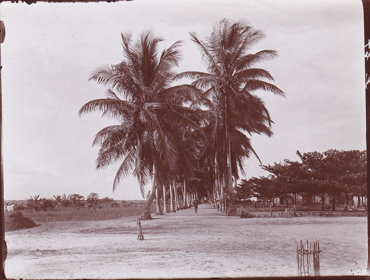   10 Original-Photographien aus der deutschen Kolonialzeit in Afrika. Historische Photographien mit Ansichten von einer Plantage und Umgebung. 