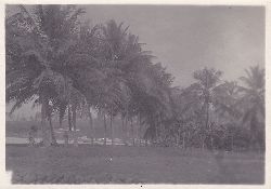   3 Original-Photographien von der Insel Fernando Poo whrend der spanischen Kolonialherrschaft. Historische Photographien der Insel mit konkreter Beschriftung in deutscher Sprache. 