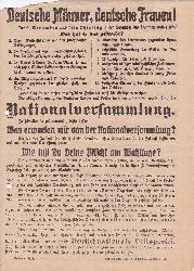 Deutschnationale Volkspartei (Herausgeber):  Deutsche Mnner, deutsche Frauen! (Original-Flugblatt zur Wahl zur Deutschen Nationalversammlung 1919). 